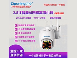 2.5寸智能AI網(wǎng)絡(luò)高清小球（點(diǎn)擊進(jìn)入大圖）