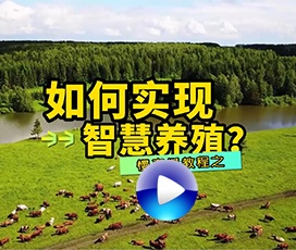 智慧養殖慢直播系統如何搭建？